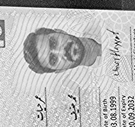 Umar Hayat