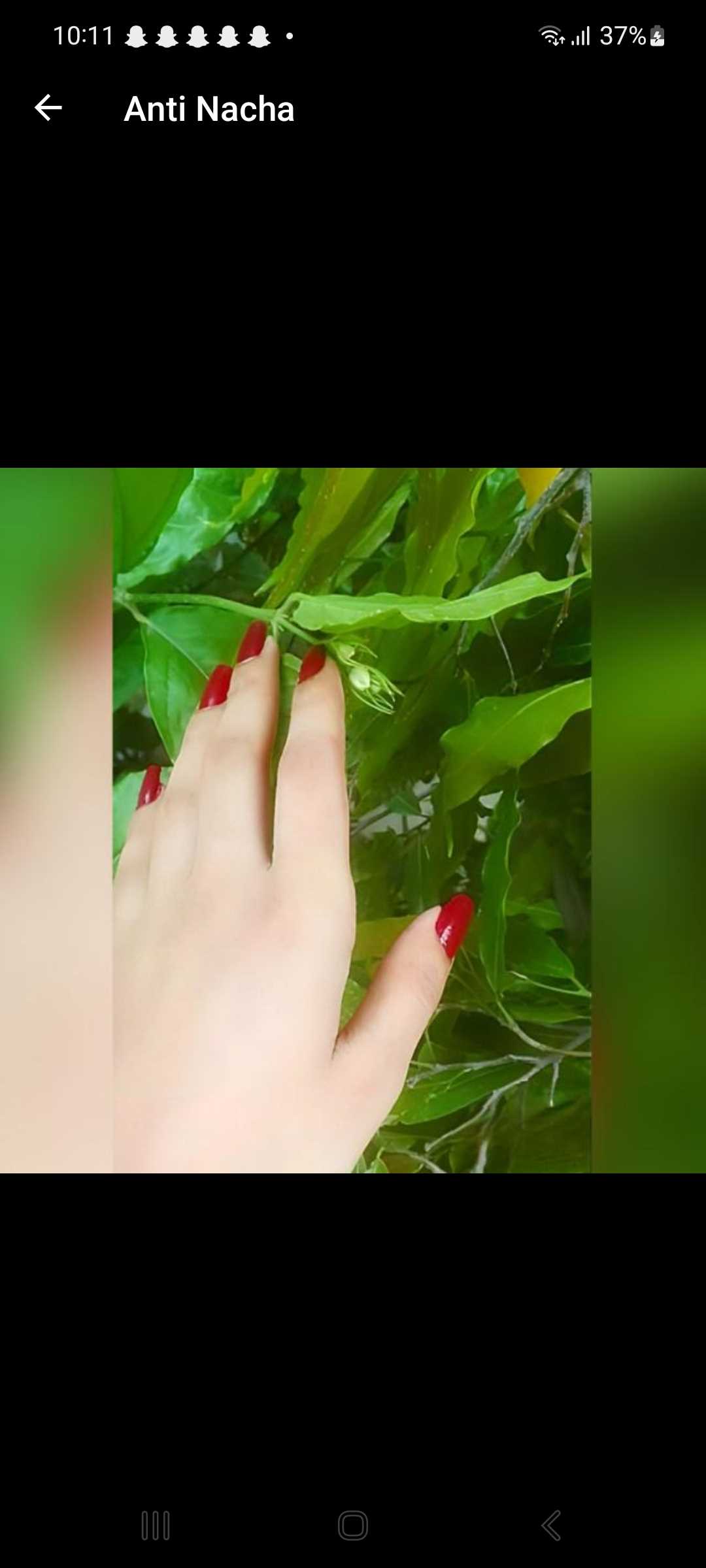 Rabia Mushtaq