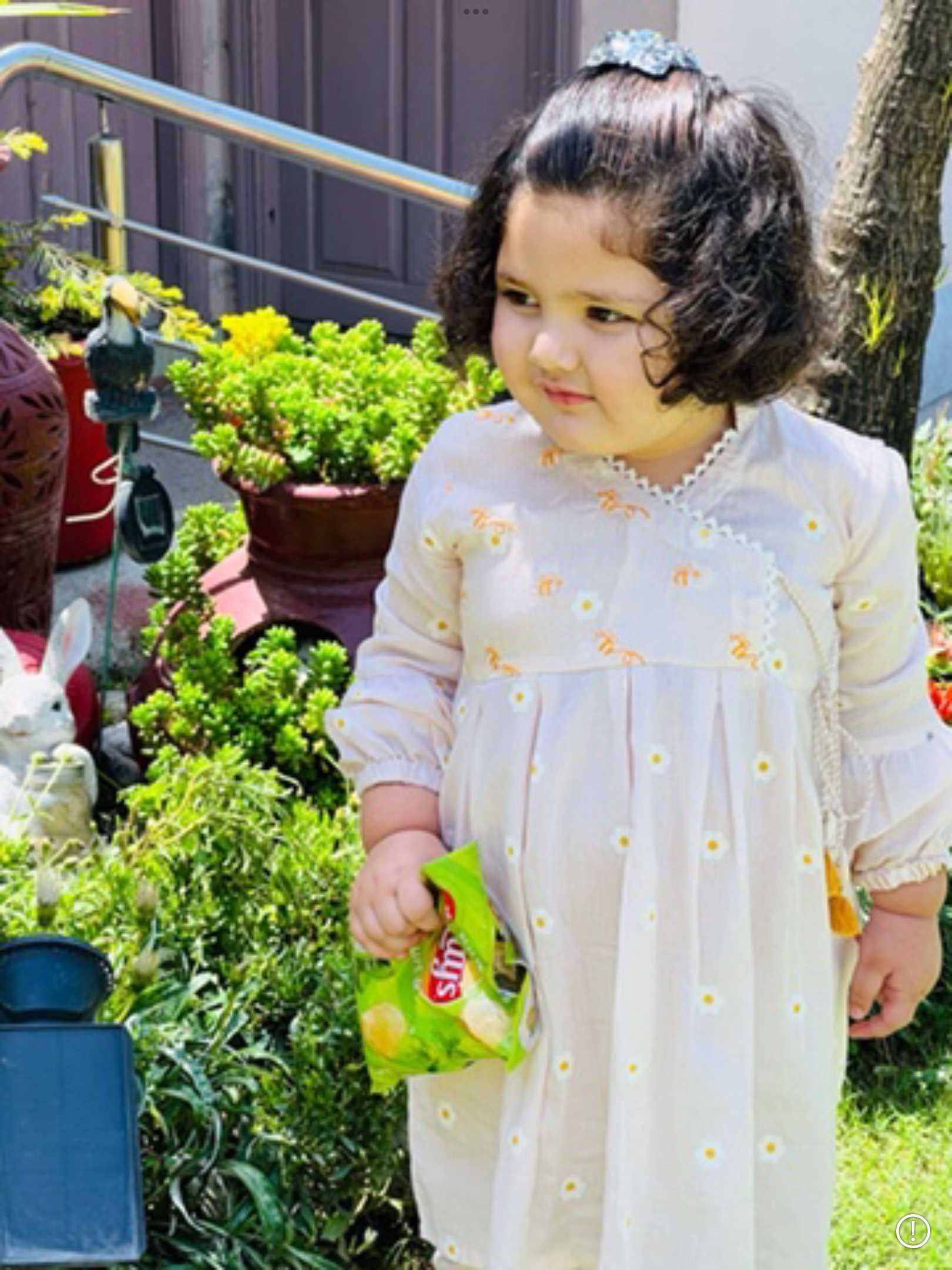 Anum ali jan