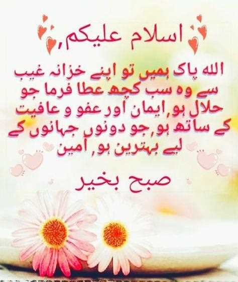 Areeba Liaqat
