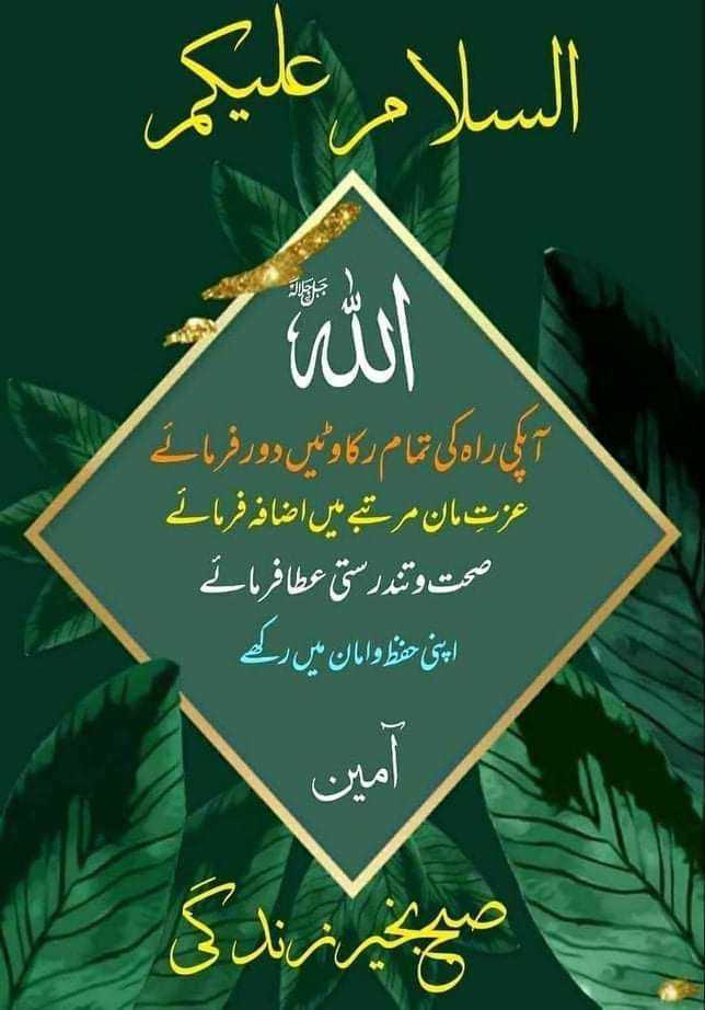 Dr rubab