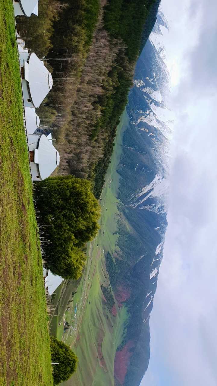 Meena Maham