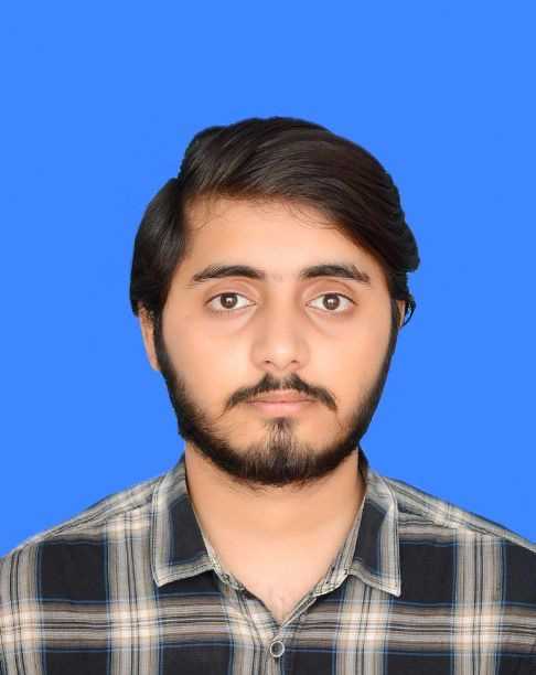 Hassan bin naveed