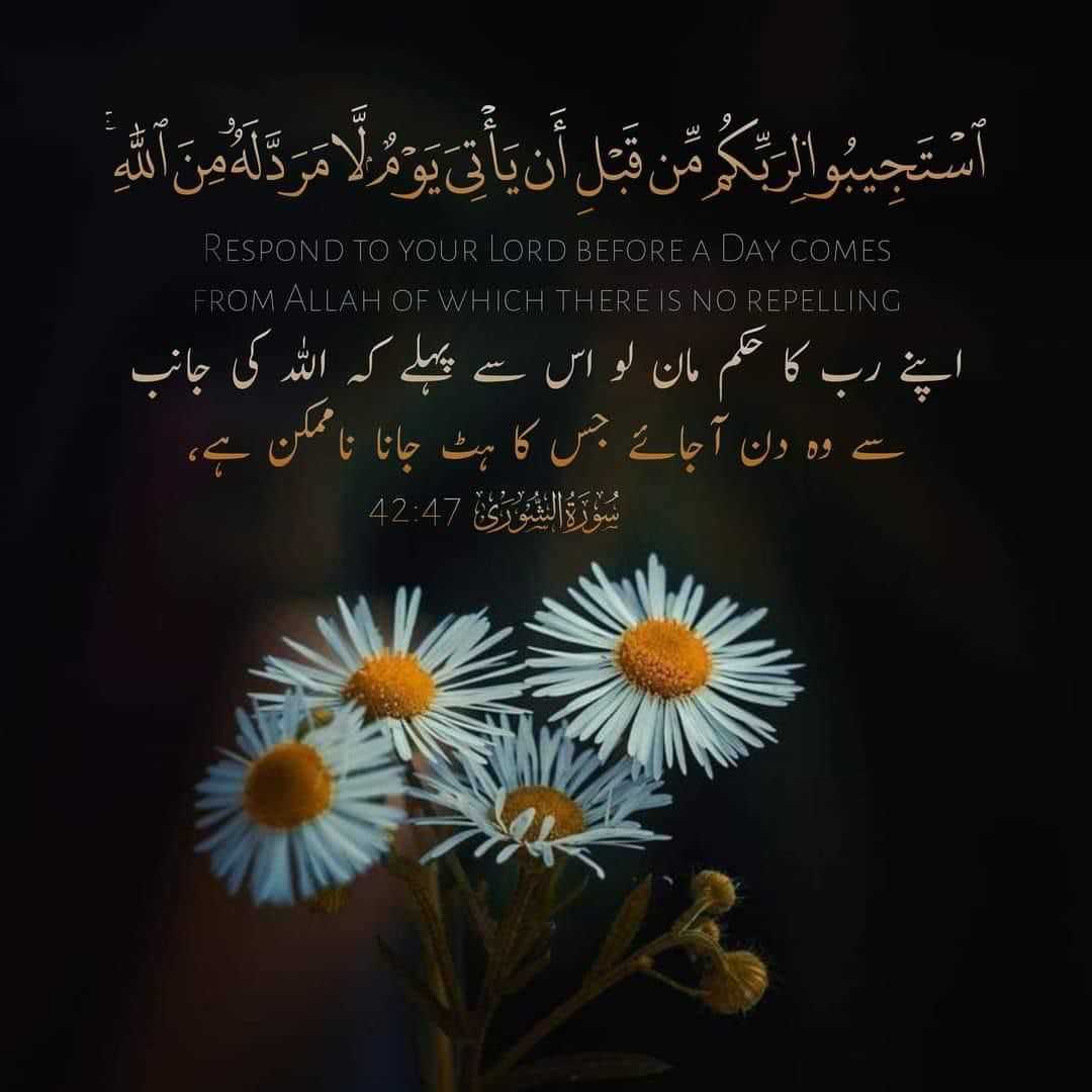 Sobia Hakim