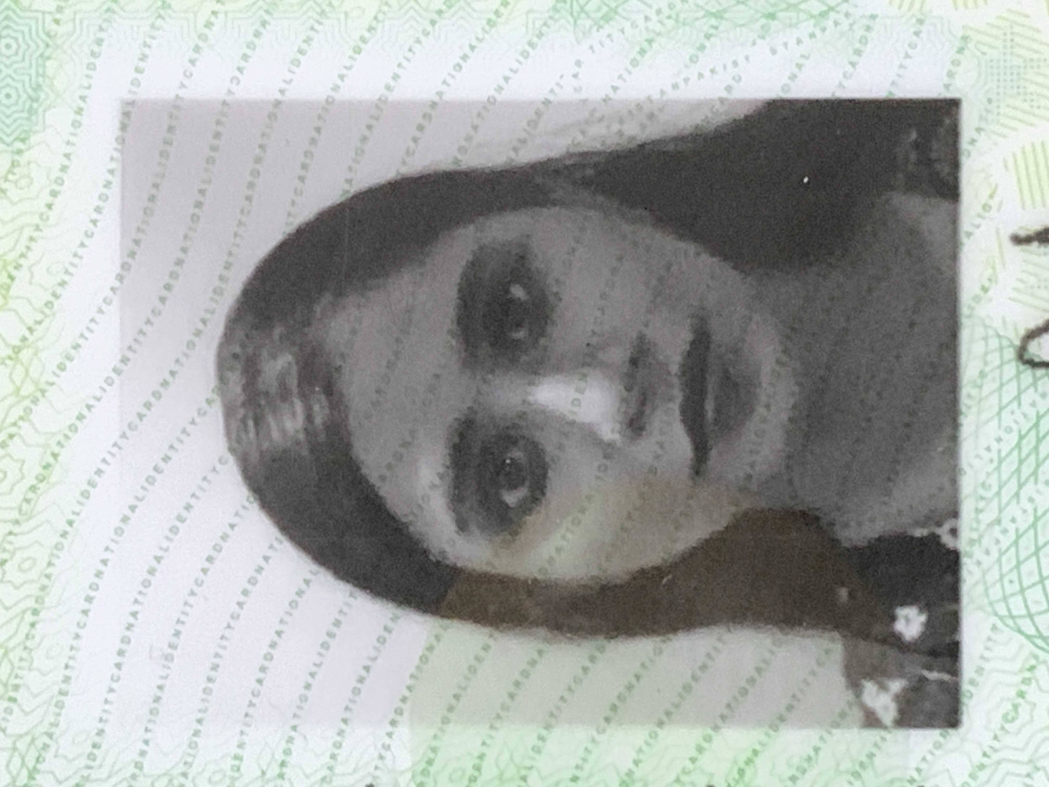 Nimra Naureen