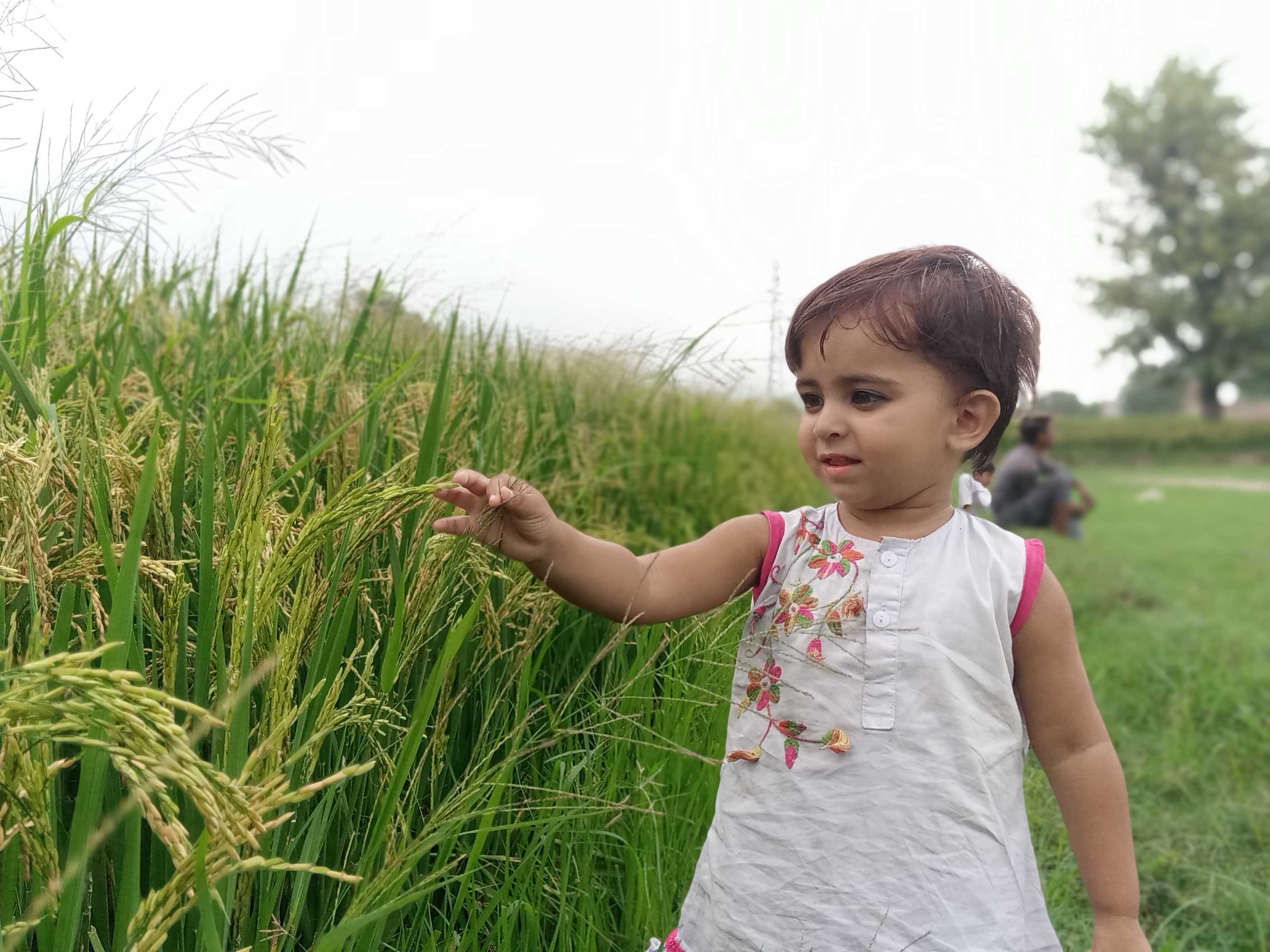 Muhammad Nabeel Saddique