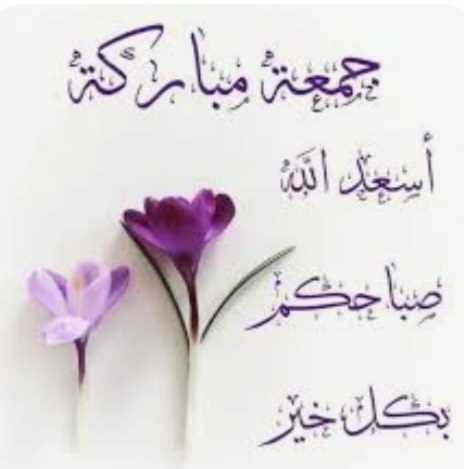 Amna zahid