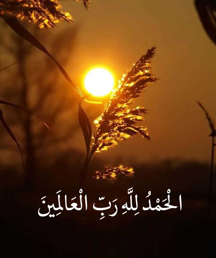 M usman