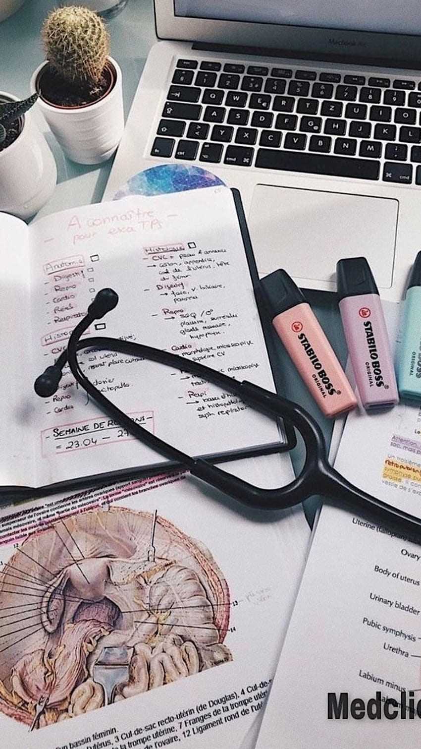 Dr javeria khalil