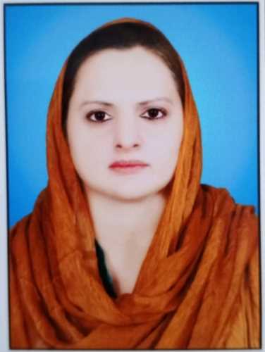 Hina ghazal
