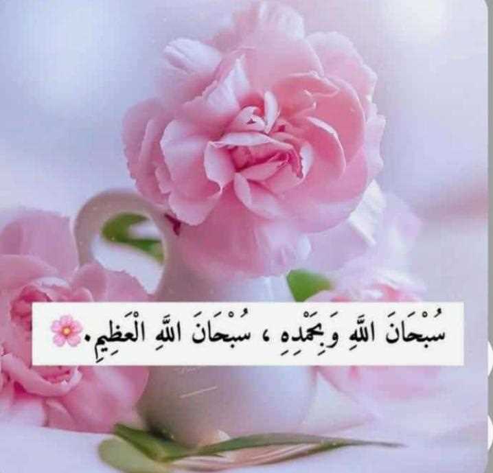 Dr firdos