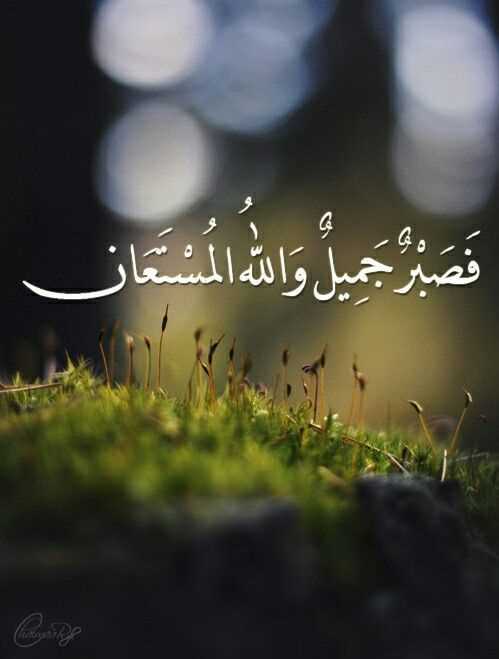 Ume e Farwa Arshad