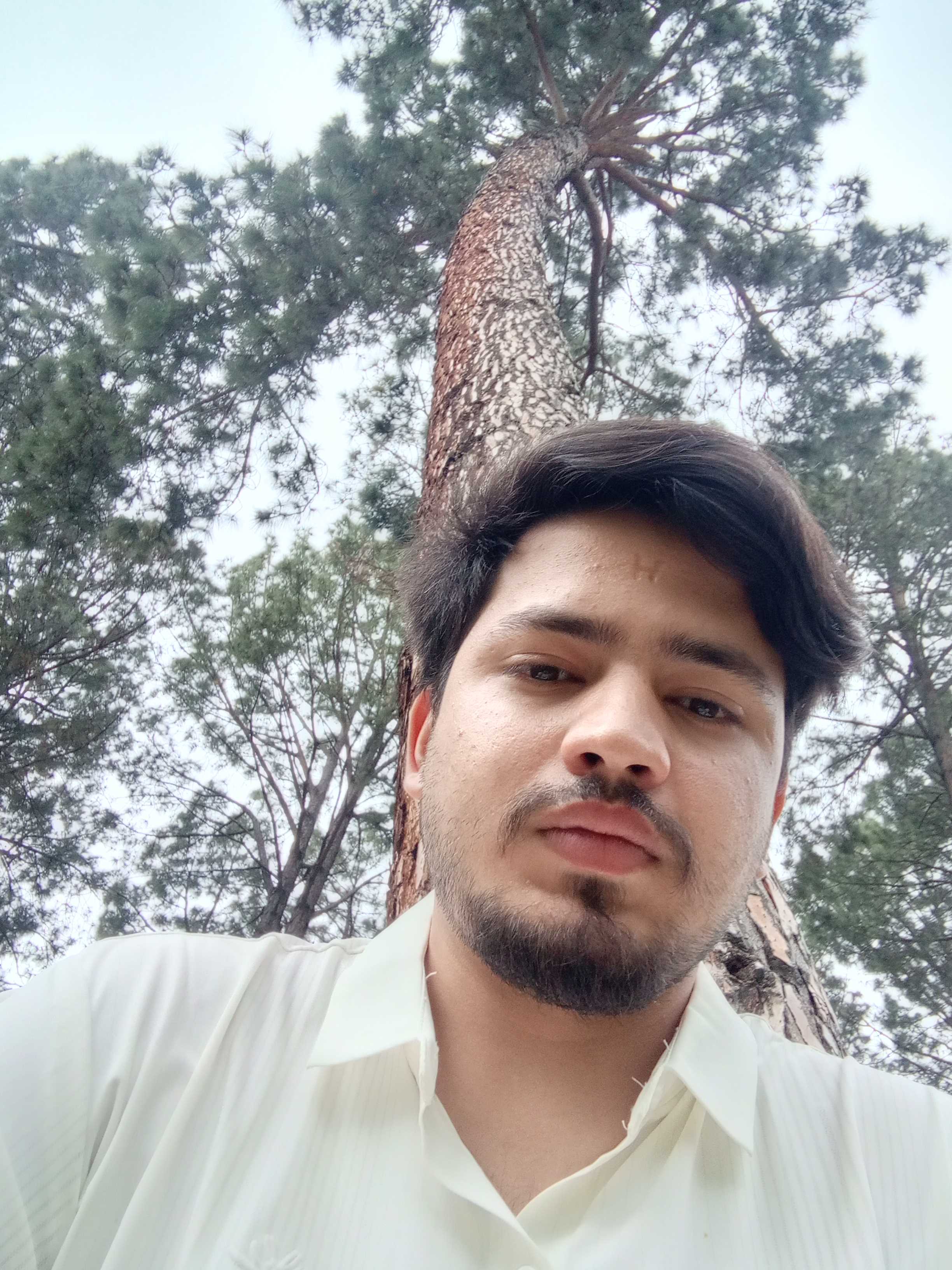 Syed umer hussnain shah