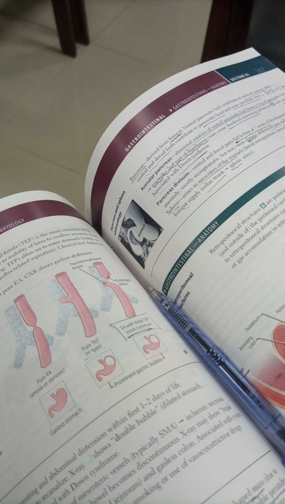 Dr Barreera Rafique