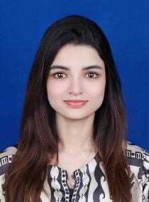 Ansa Areeba