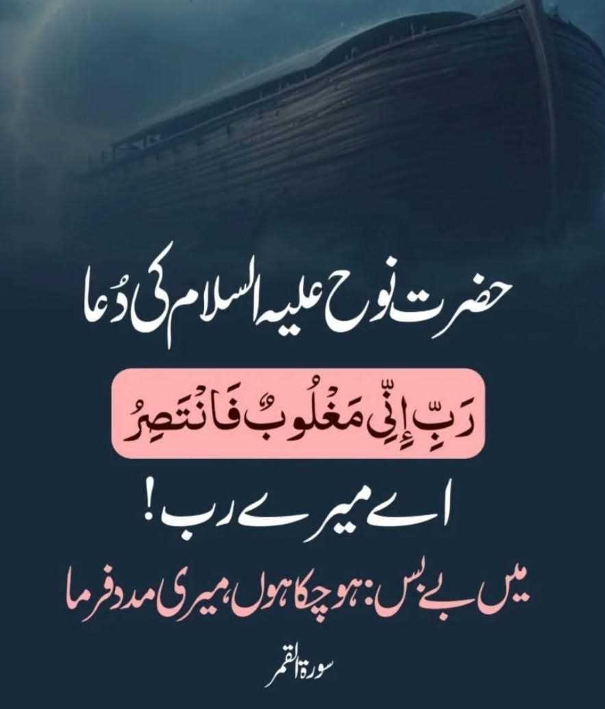 Dr Najeeb