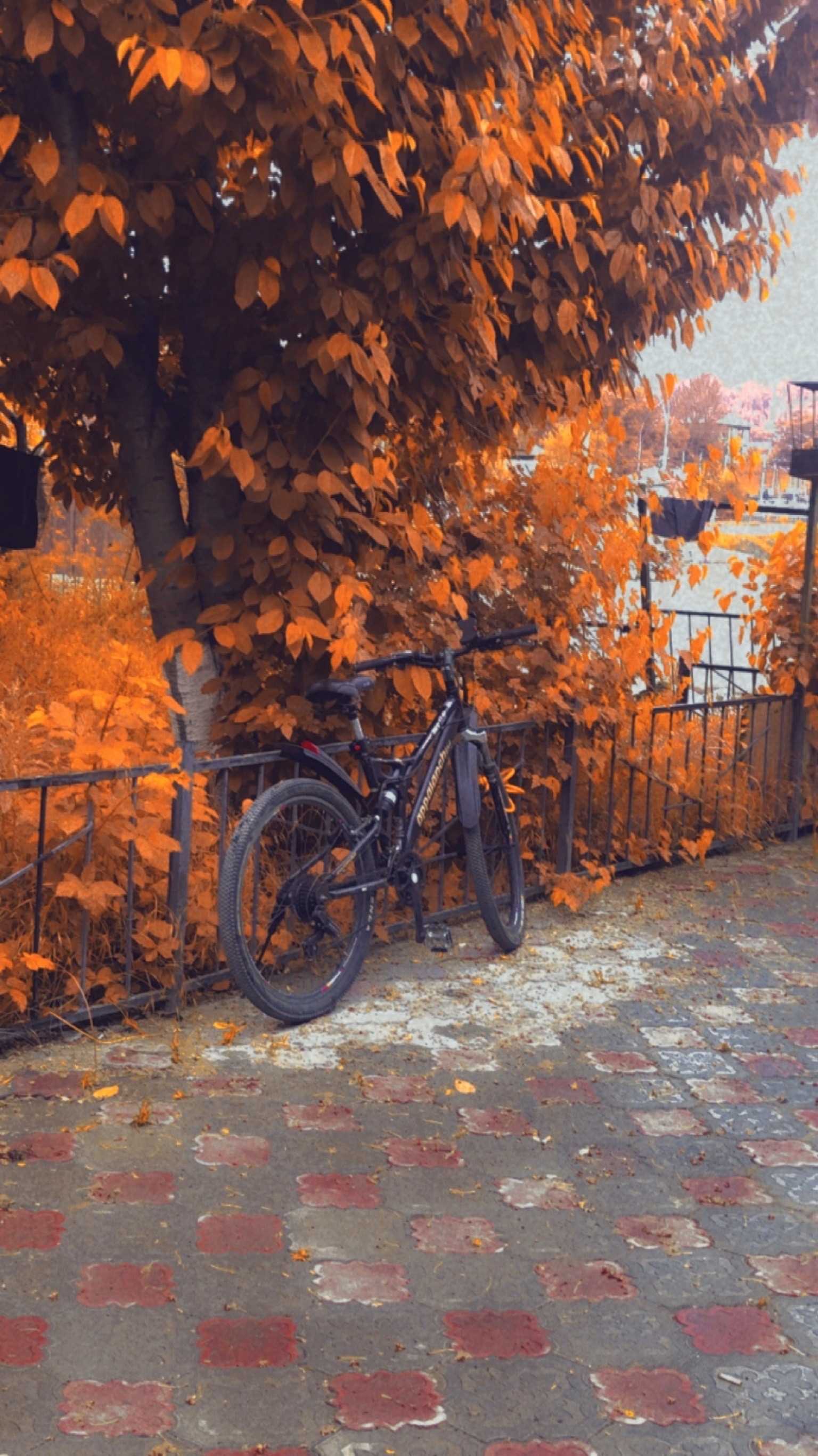 Mateen ul Zaman