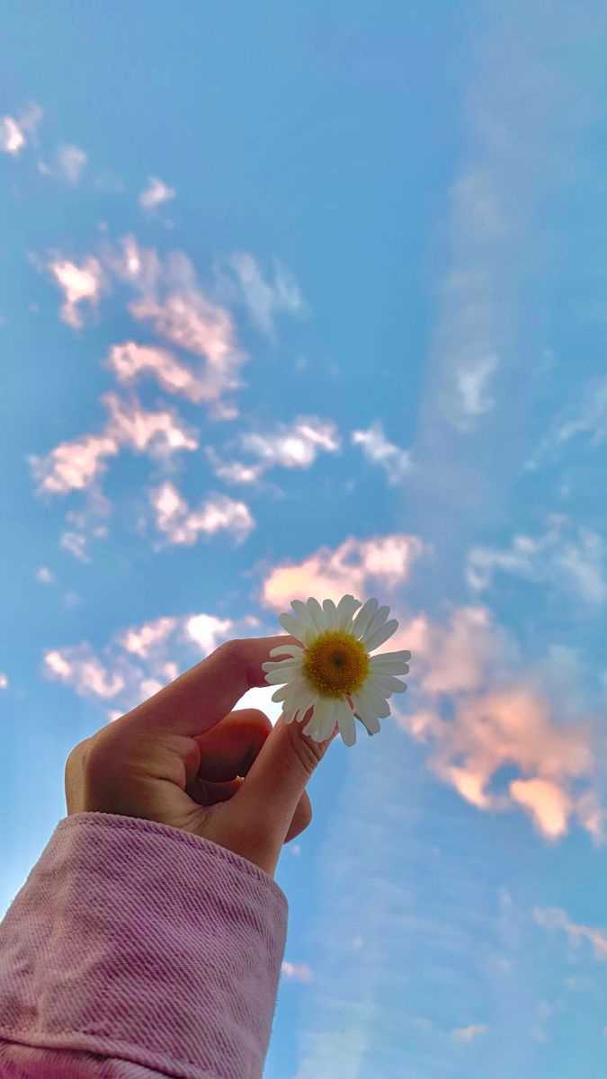 Khola Gul