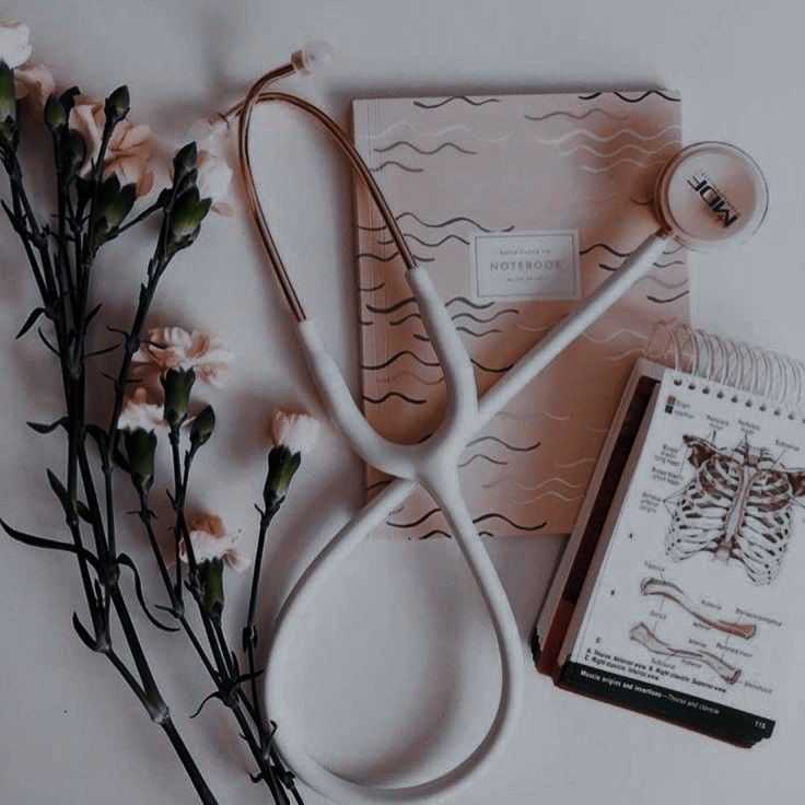 Dr javeria
