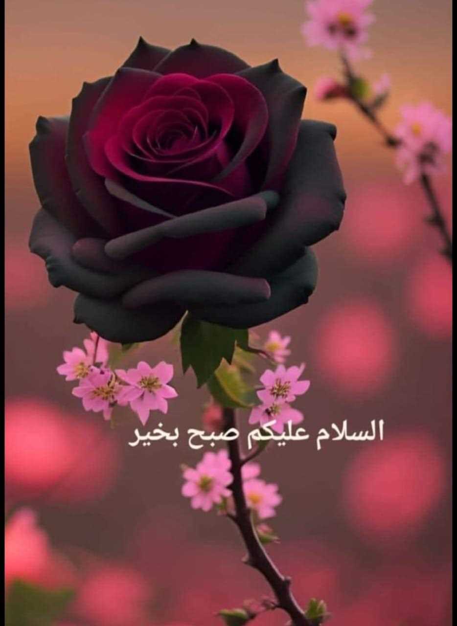 Ayesha khan
