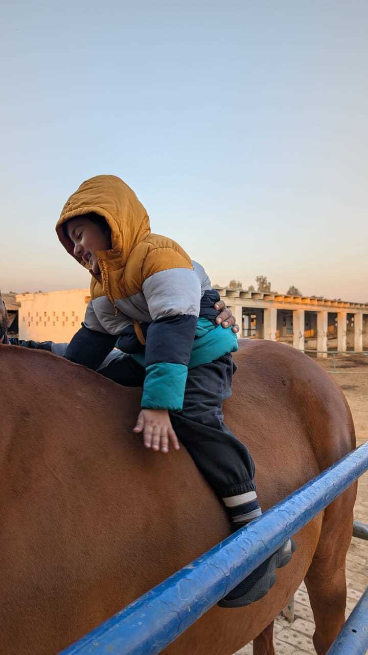 Ammara inam