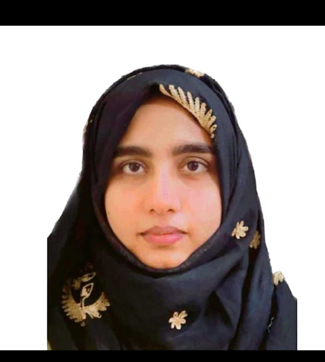 Ameerzadi