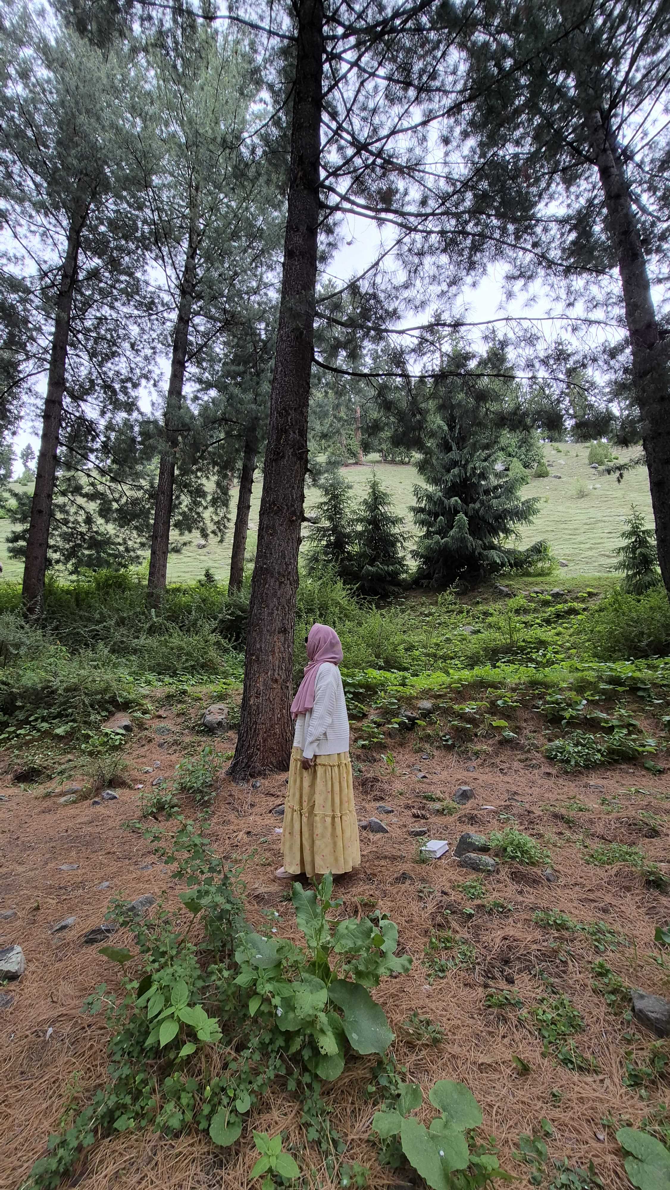 Tooba rafiq