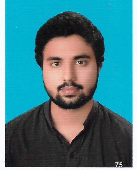 Muhammad Hamza khursheed