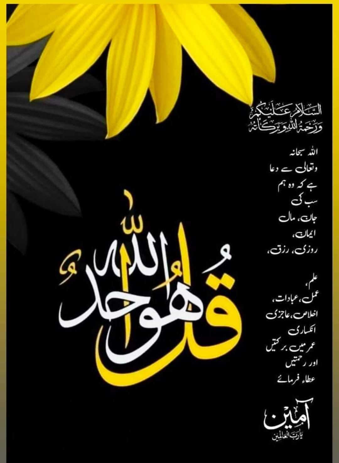 aimenawais