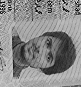 Muhammad Hammad Arshad