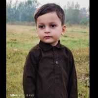 sana haseeb