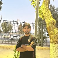 Ali Mesam