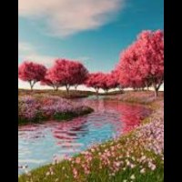 Shayan Ahmad